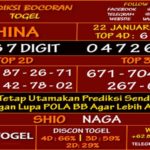 Prediksi Virdsam China 22 Januari 2021 prediksi-virdsam-china-22-januari-2021-alexistogel